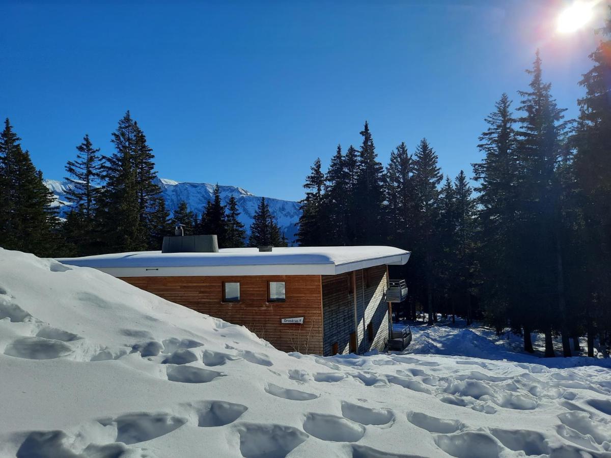 La Petite Foret Chamrousse 1700 Eksteriør bilde