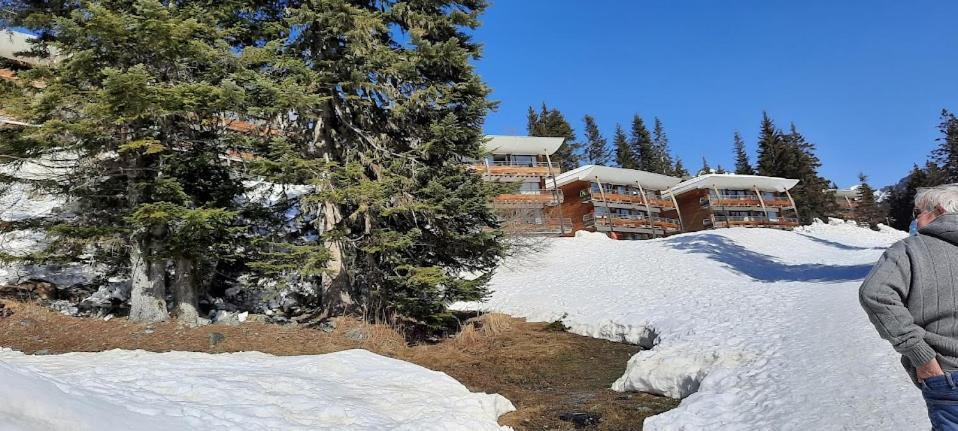 La Petite Foret Chamrousse 1700 Eksteriør bilde