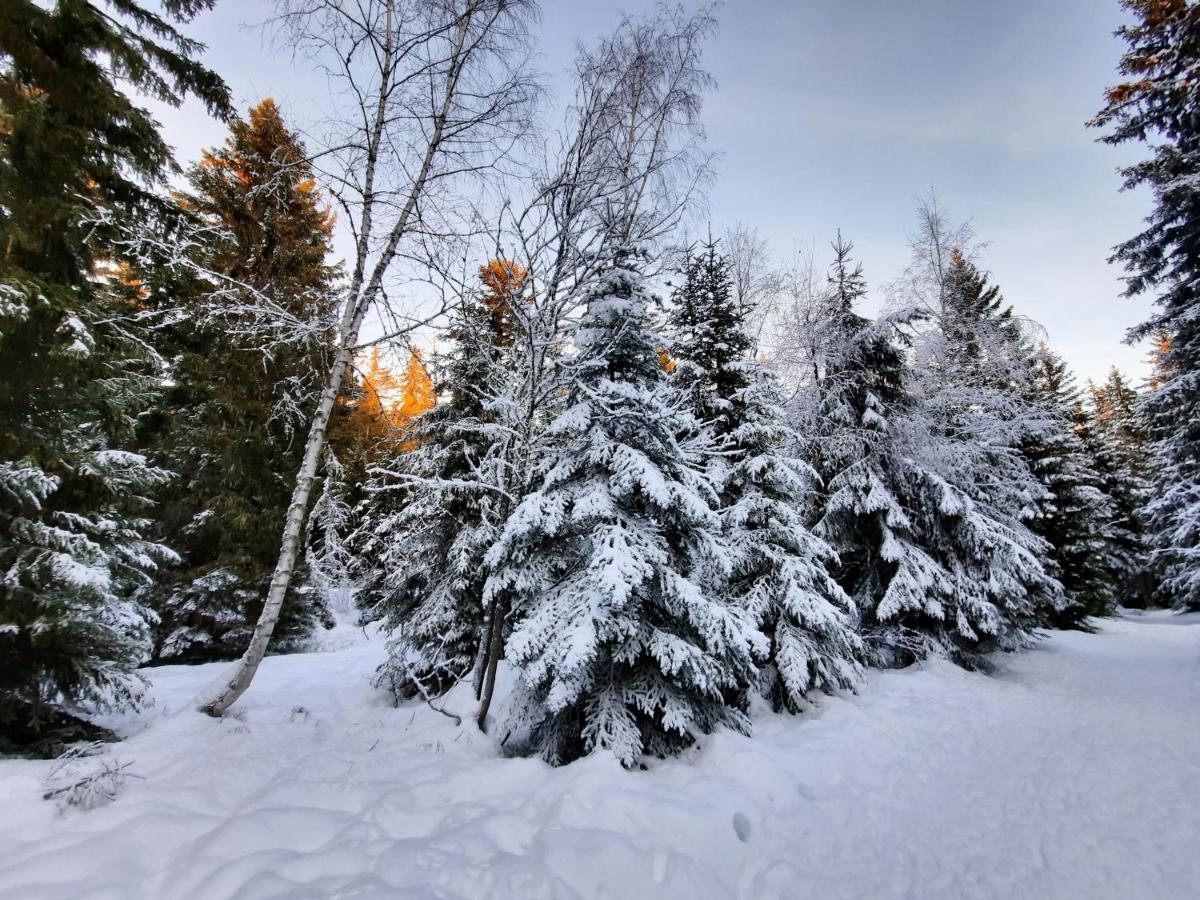 La Petite Foret Chamrousse 1700 Eksteriør bilde