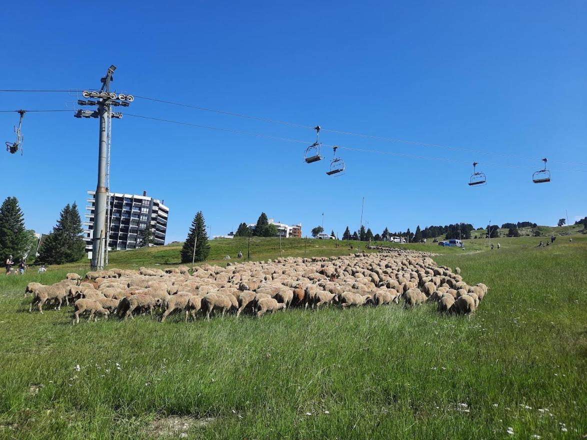La Petite Foret Chamrousse 1700 Eksteriør bilde