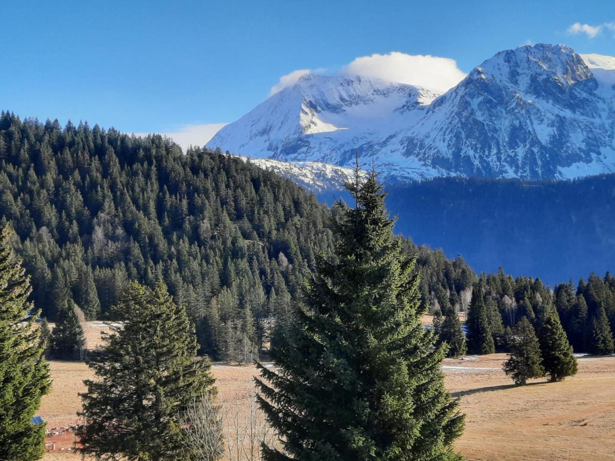 La Petite Foret Chamrousse 1700 Eksteriør bilde
