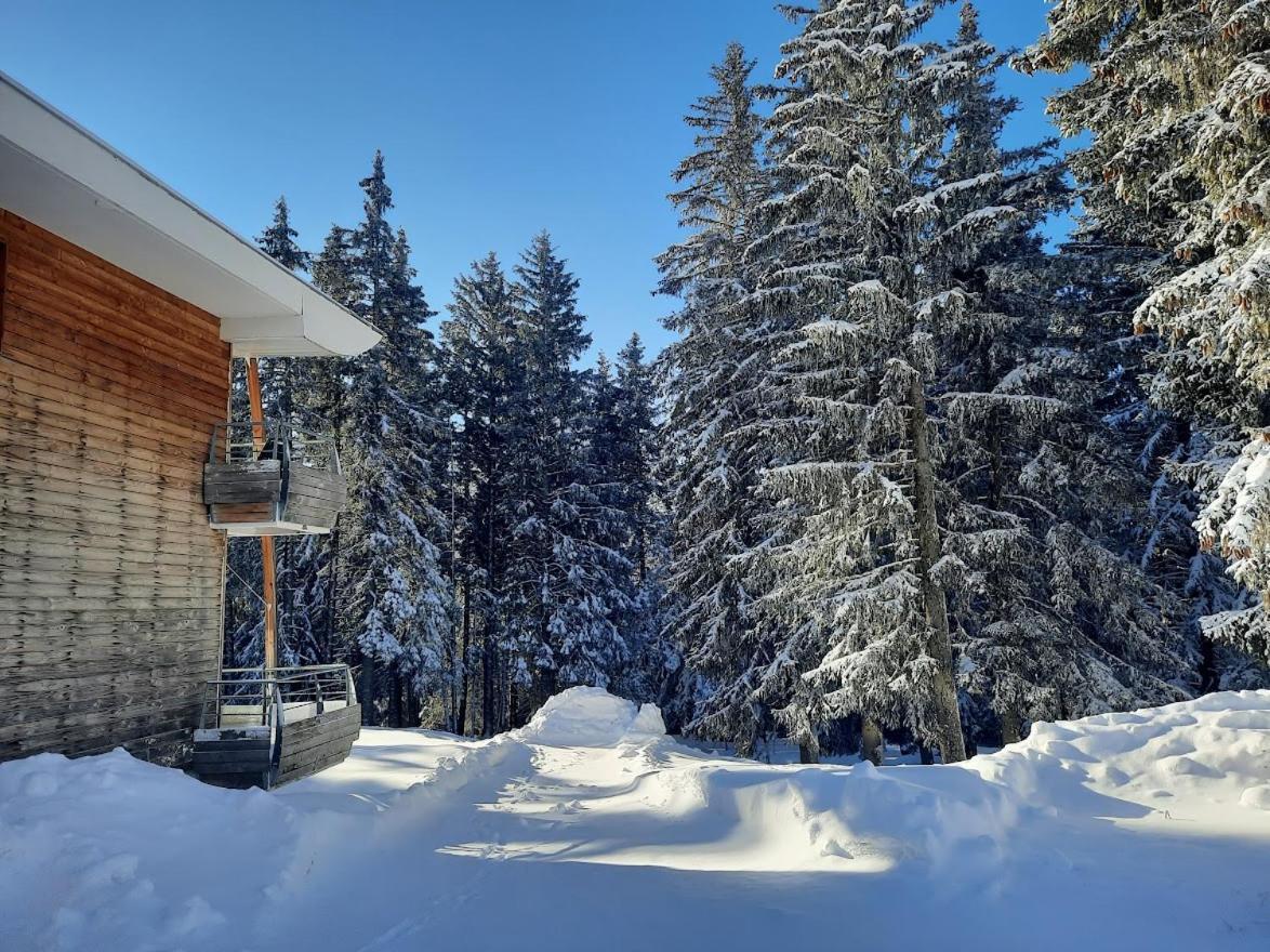 La Petite Foret Chamrousse 1700 Eksteriør bilde